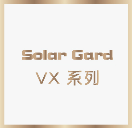 VX 系列